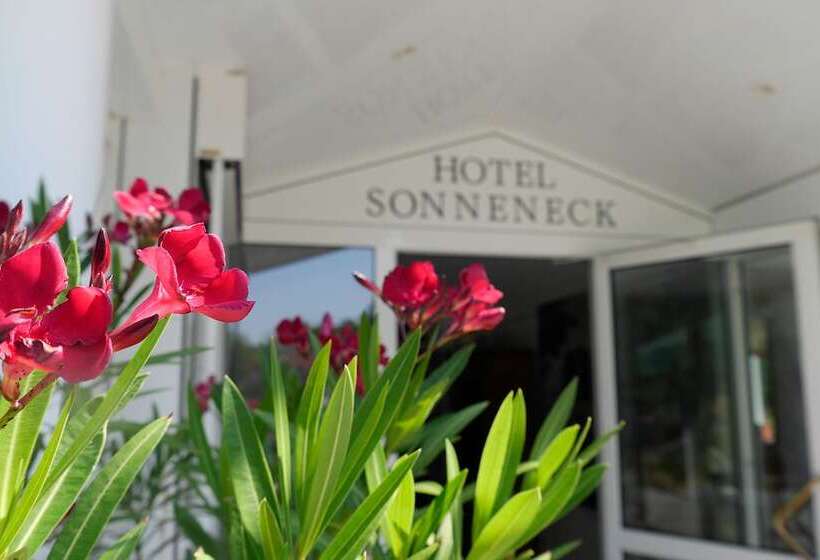 ホテル Sonneneck