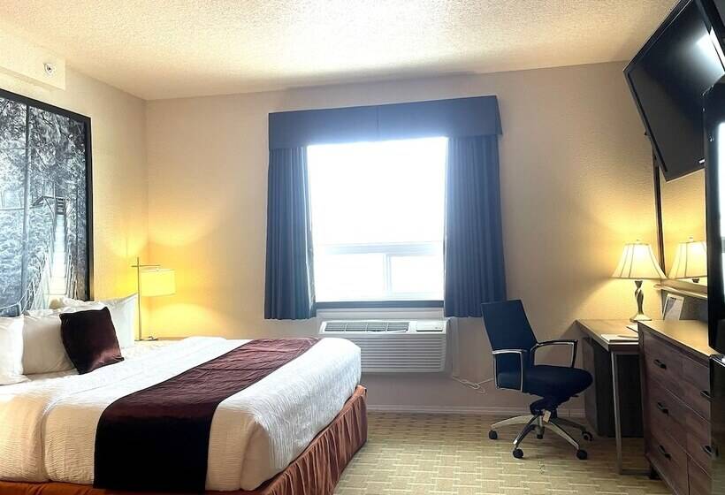 汽车旅馆 High Point Inn & Suites Peace River