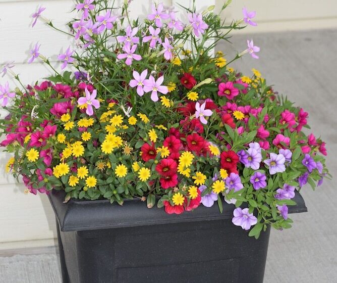 Мотель Knights Inn Arnprior