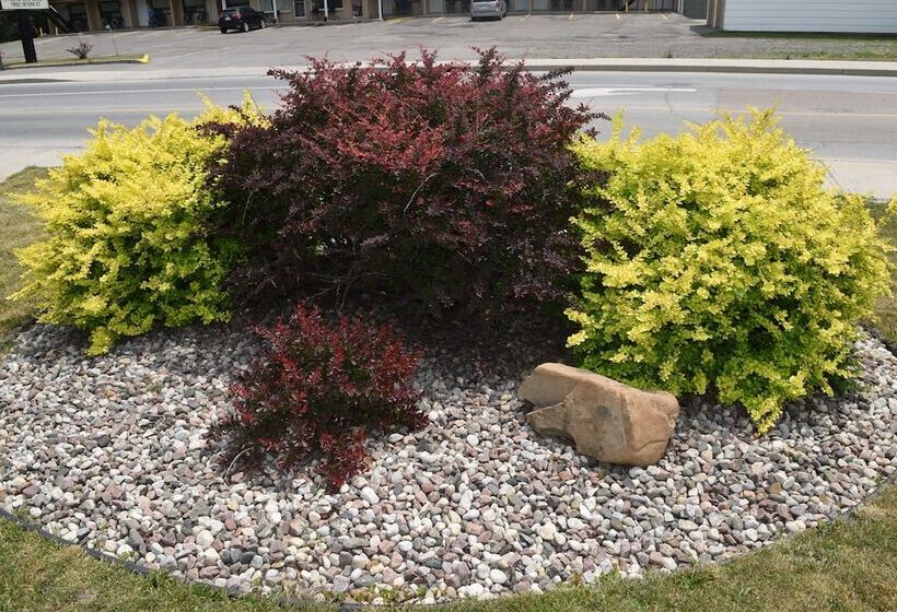 Мотель Knights Inn Arnprior