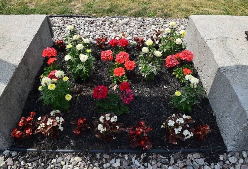 Мотель Knights Inn Arnprior