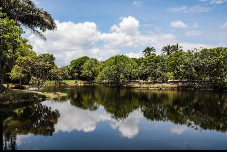 Отель Vivant Eco Resort Apartamento