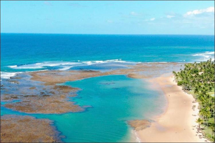 Отель Vivant Eco Resort Apartamento