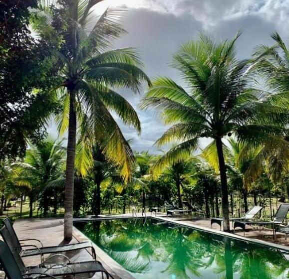 Отель Vivant Eco Resort Apartamento