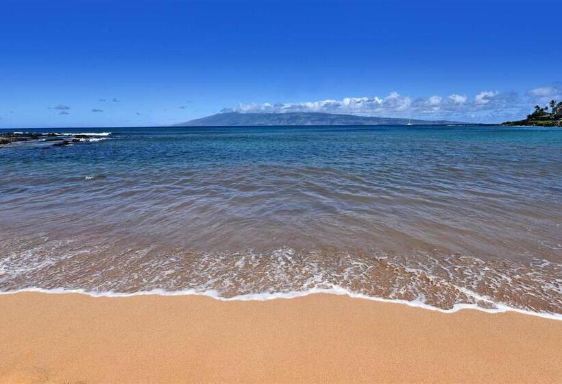 Napili Shores Condo   Play, Heal, And Work In Paradise