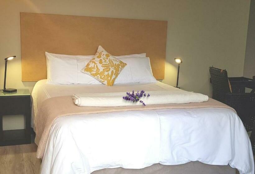 بنسيون Vista Views