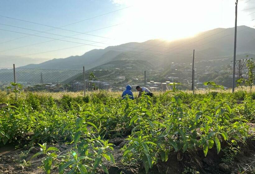 민박 Tevra Hotel, Top Of The Mountain, Camping, Nature, Ijevan, Dilijan