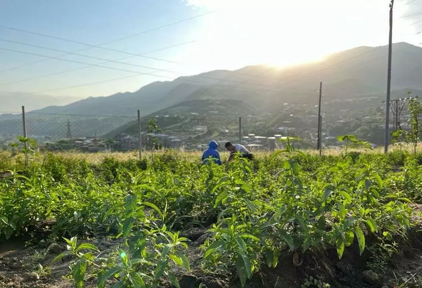 Aamiaismajoitus (B&B) Tevra Hotel, Top Of The Mountain, Camping, Nature, Ijevan, Dilijan