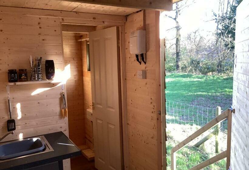 مبيت وإفطار Vigo Retreat Cabin 1