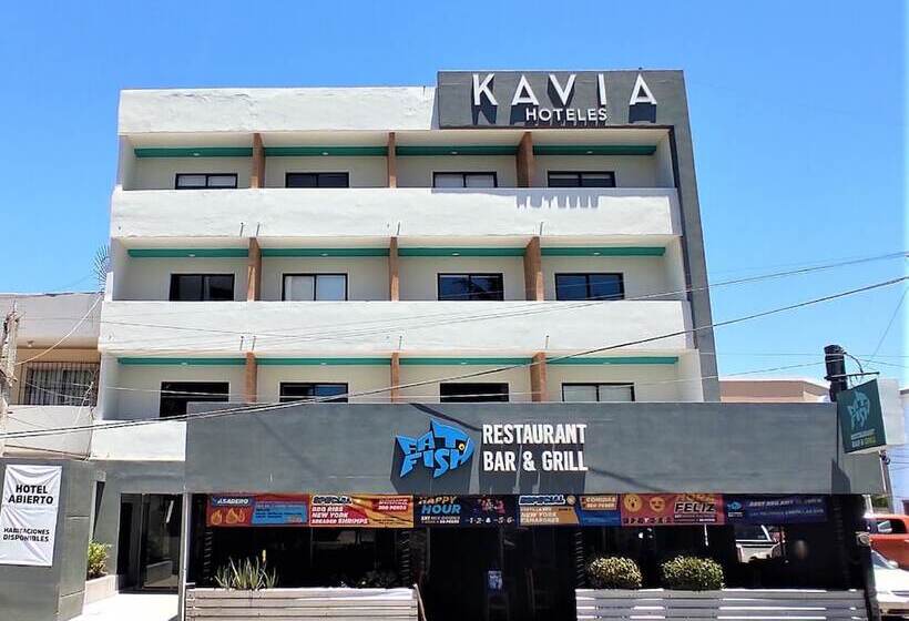 ホテル Kavia Mazatlan