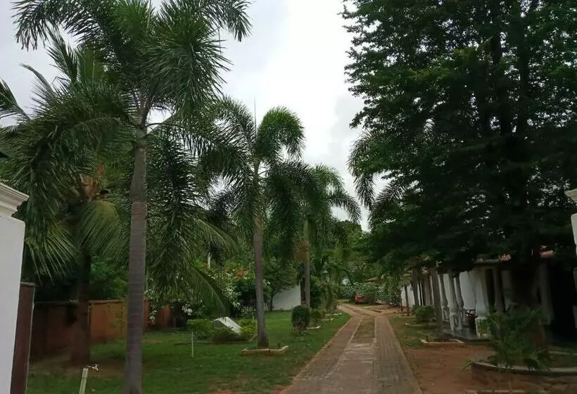 ホテル Lotus Villa