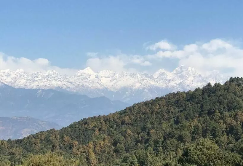 هتل Millennium Blue