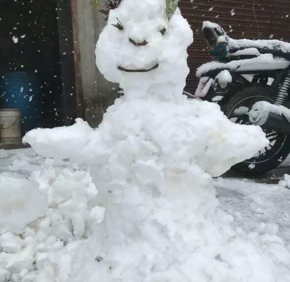 هتل Millennium Blue