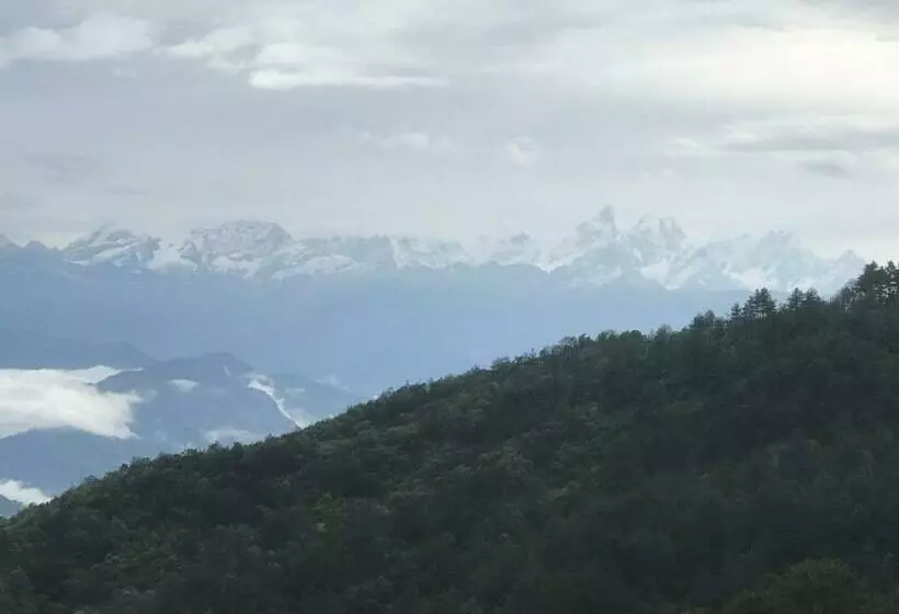 هتل Millennium Blue