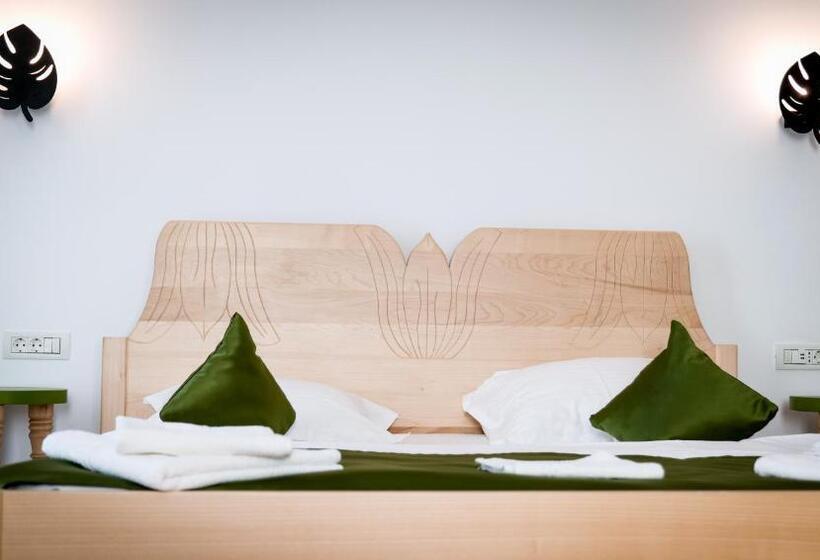 Bed and Breakfast Conacul Olarilor