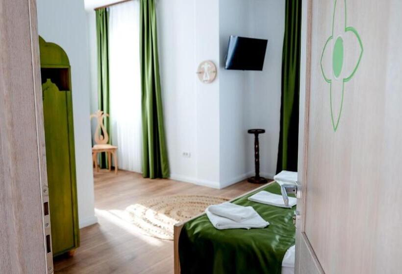 Bed and Breakfast Conacul Olarilor