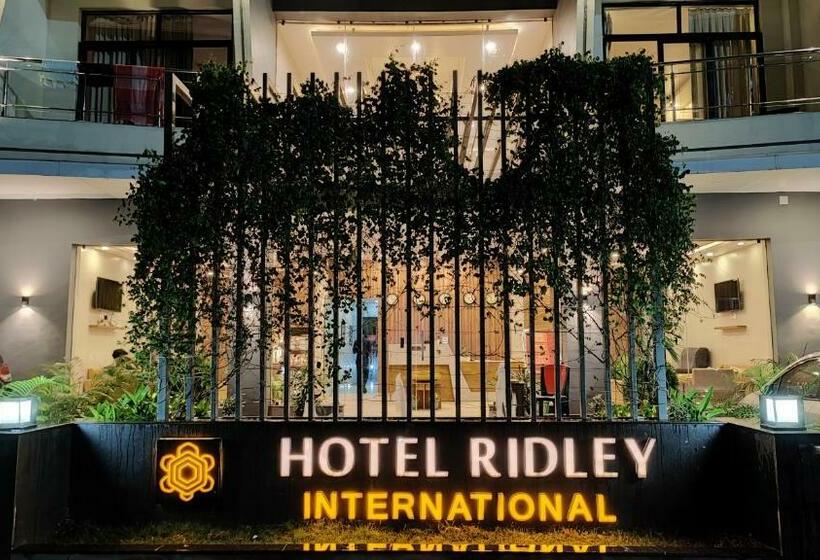 בית מלון כפרי Ridley International