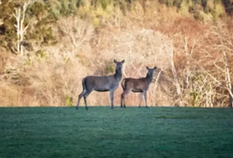 Park Place Apartments