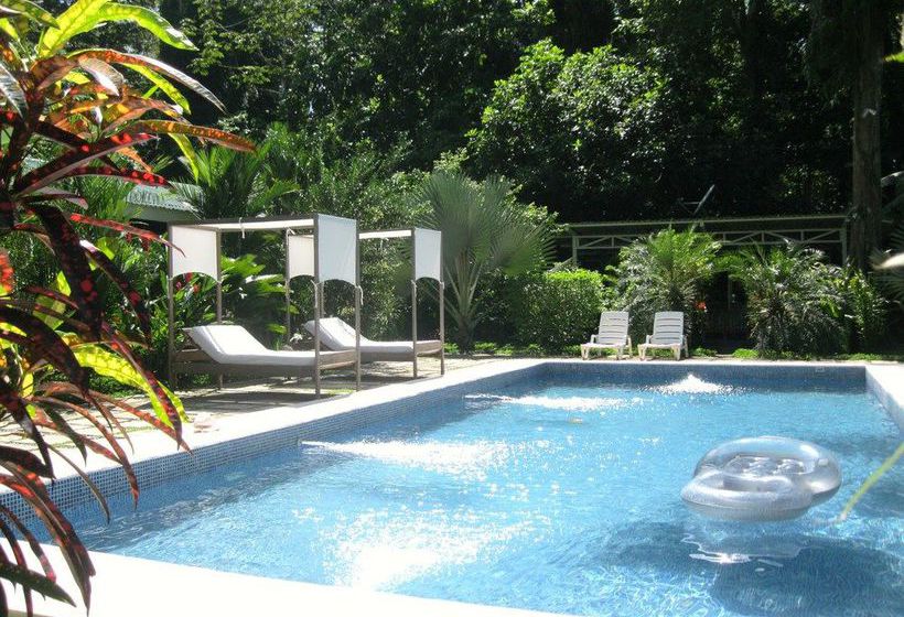 Vip Hotel Playa Negra