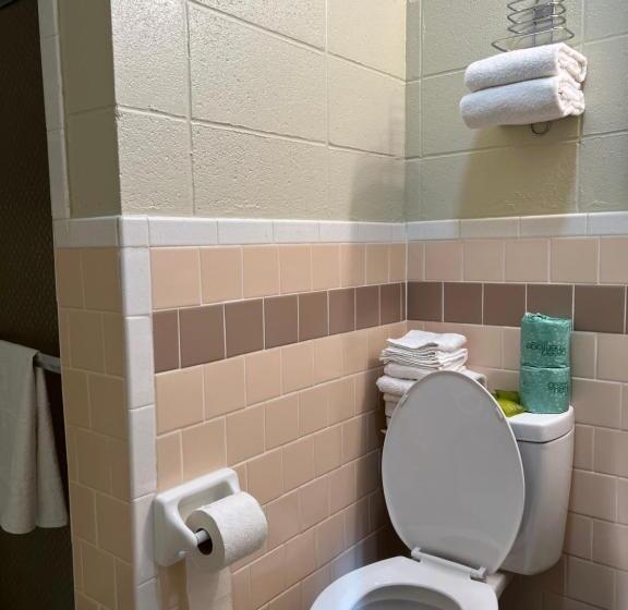 酒店 Driftwood Inn And Lodge By The Lake