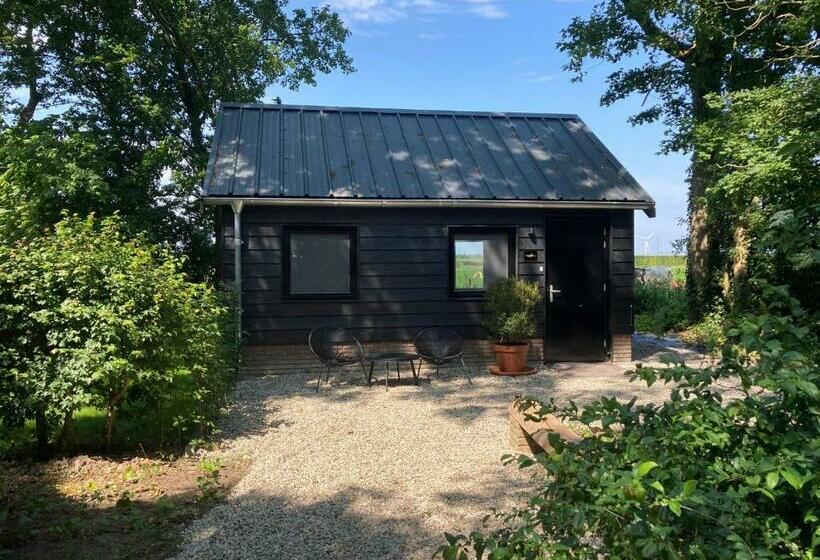 T Zand Bed & Breakfast