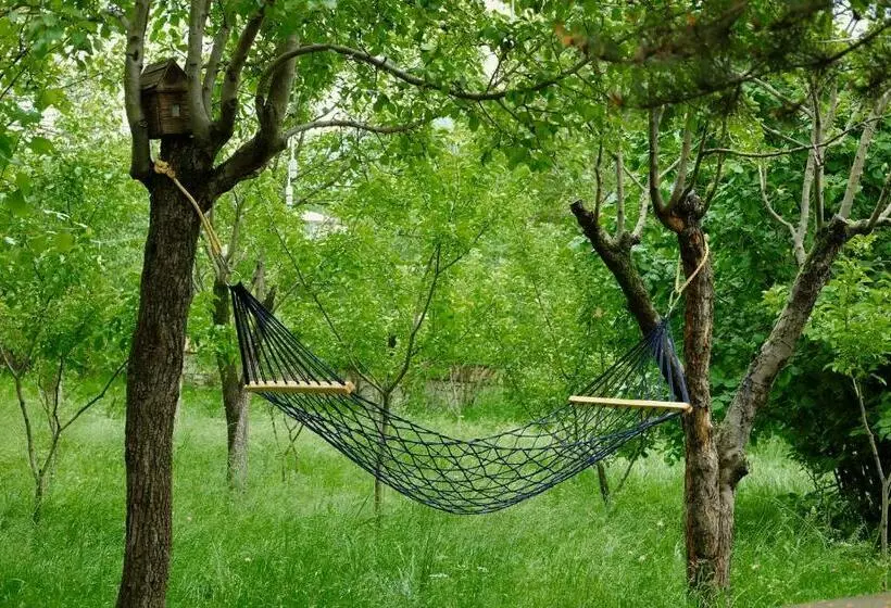 Aamiaismajoitus (B&B) Dil Hill By Sam