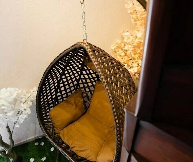 تختخواب و صبحانه Don Chago