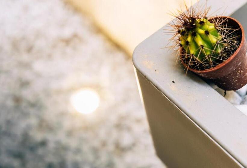 膳宿费 In Centro Da Viola   Eco Design Rooms