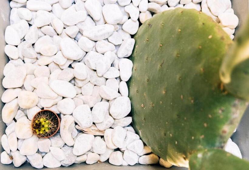 膳宿费 In Centro Da Viola   Eco Design Rooms