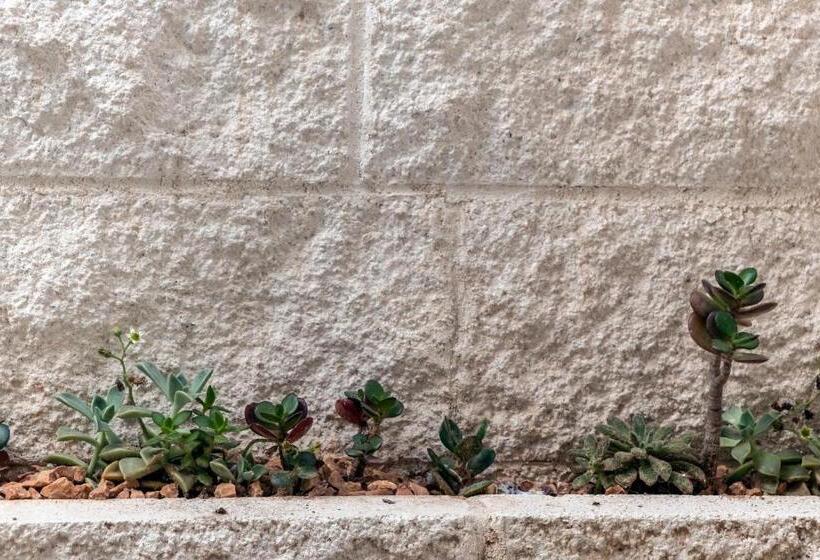 膳宿费 In Centro Da Viola   Eco Design Rooms