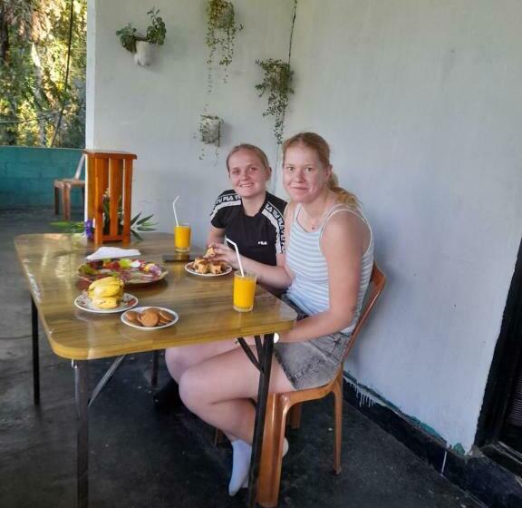 Pension Traveler S Choice Ella