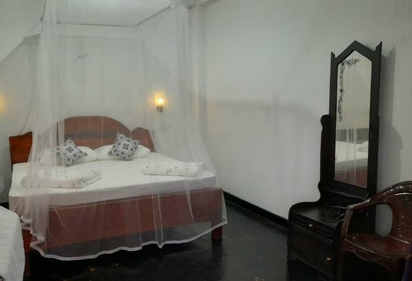 Pension Traveler S Choice Ella