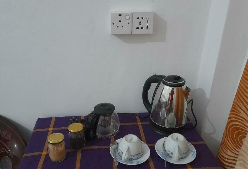 Pension Traveler S Choice Ella