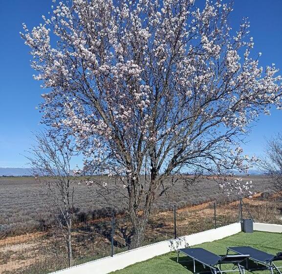 تختخواب و صبحانه Le Spa Des Lavandes