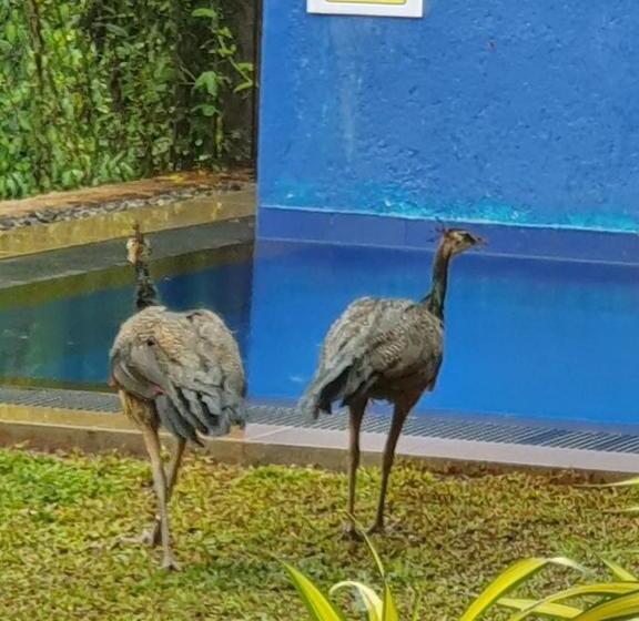 ホテル Nature Paradise Guesthouse