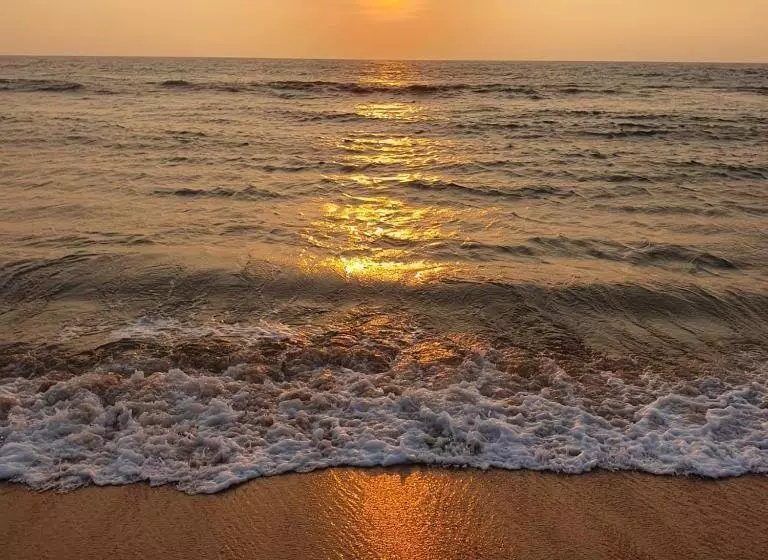 Hotelli Nature Paradise Guesthouse