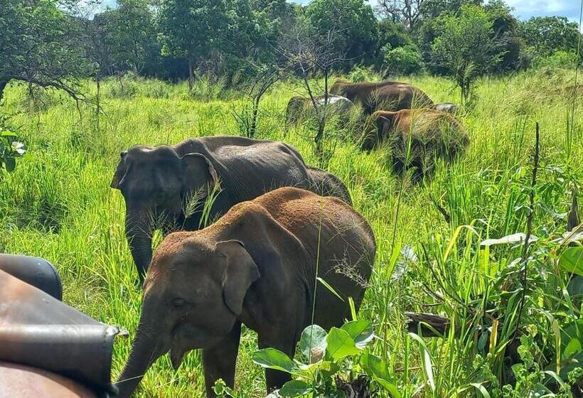 ホテル Nature Paradise Guesthouse