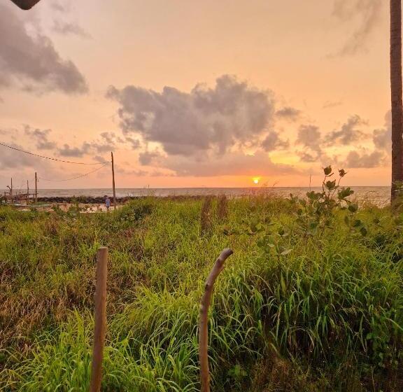 ホテル Nature Paradise Guesthouse