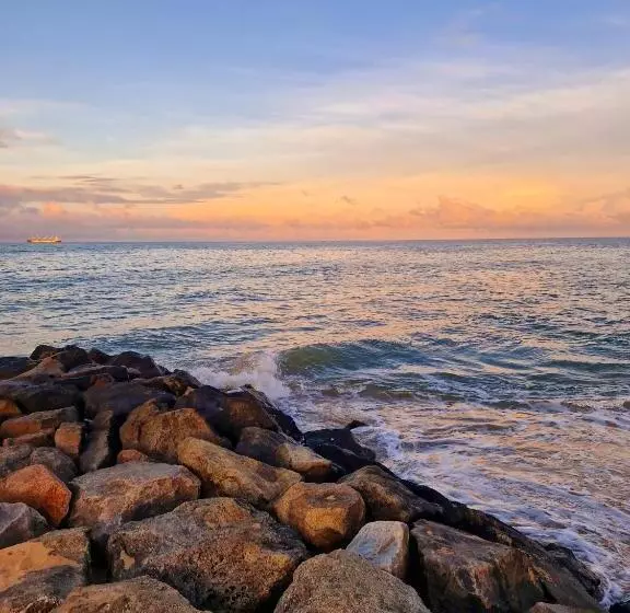 Hotelli Nature Paradise Guesthouse