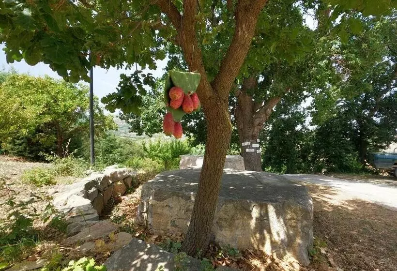 ペンション Equiturismo San Lorenzo   Villa Kamara