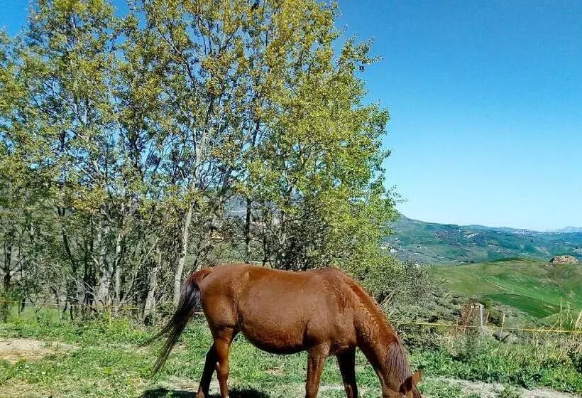 ペンション Equiturismo San Lorenzo   Villa Kamara