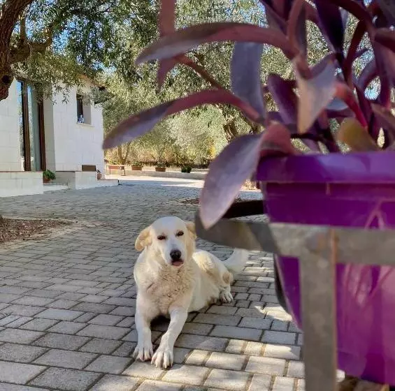 ペンション Equiturismo San Lorenzo   Villa Kamara