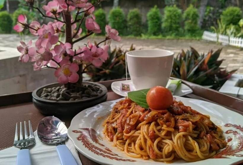 Panzió Nice Double Room With Ac, Garden And Wifi