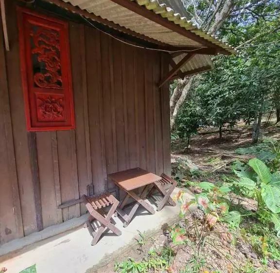 ペンション Pousada Amazônia Encantada