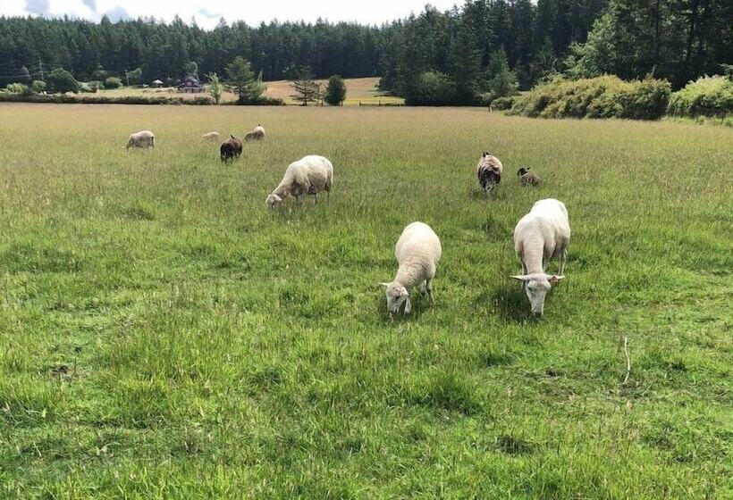 酒店 Lopez Farm Cottages & Tent Camping