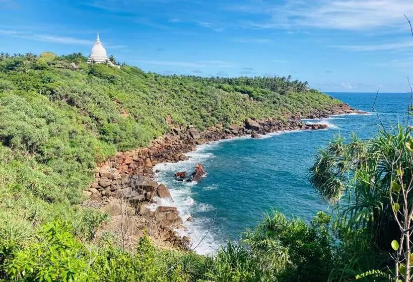 Jungle Beach Restaurant And Hotel Jbr