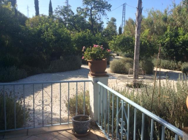 פנסיון Molino Cottage