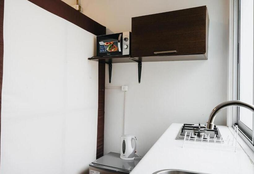 Apart Hotel De Hostal Concepción