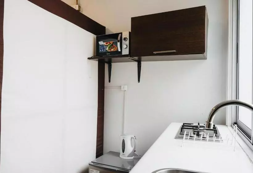 Apart Hotel De Hostal Concepción