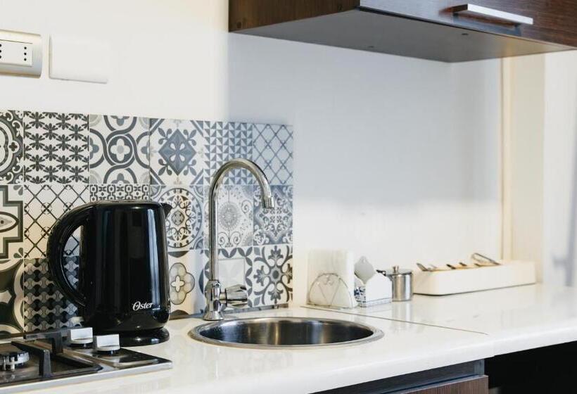 Apart Hotel De Hostal Concepción